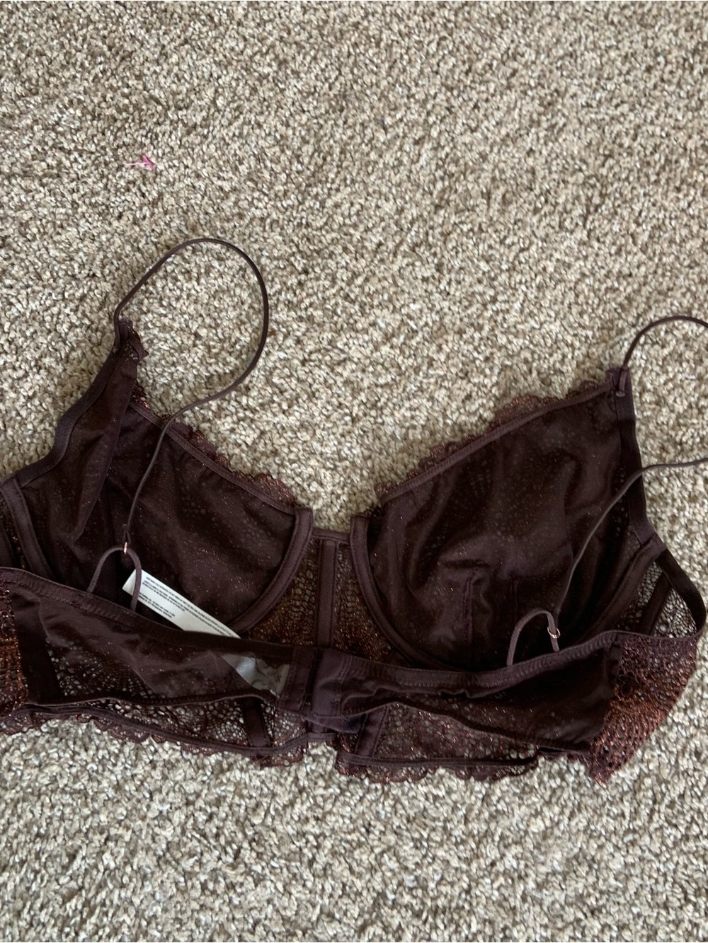Intimately Free People All I Want XL Brown Lace Longline Underwire Sheer Bra - Picture 4 of 5